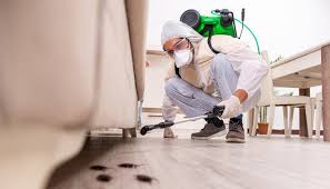 Best Pest Prevention Services  in Frazier Park, CA